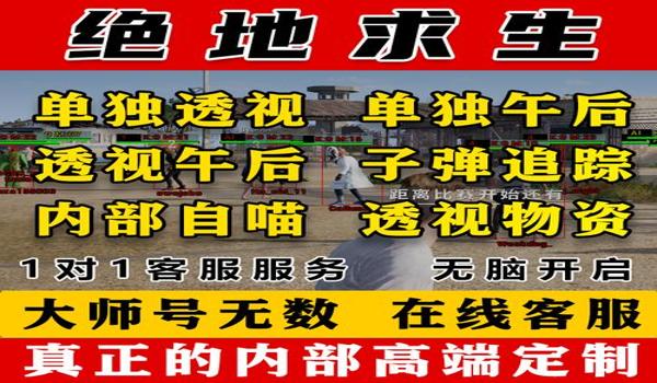 掌上绝地求生辅助怎么用（掌上绝地求生辅助的主要功能有哪些？）